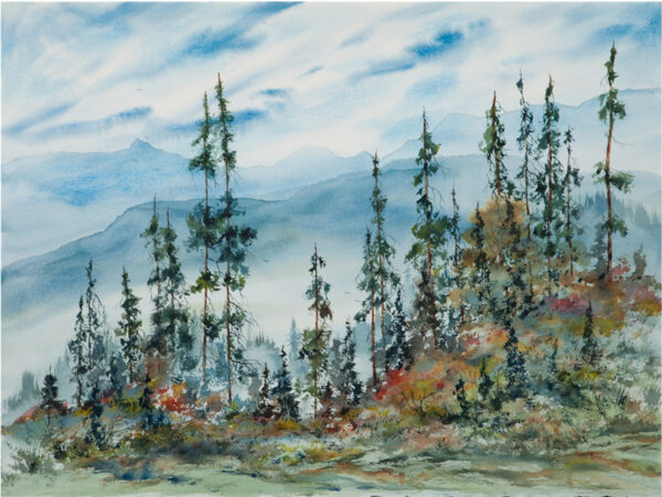 Mt. Revelstoke National Park - SOLD -