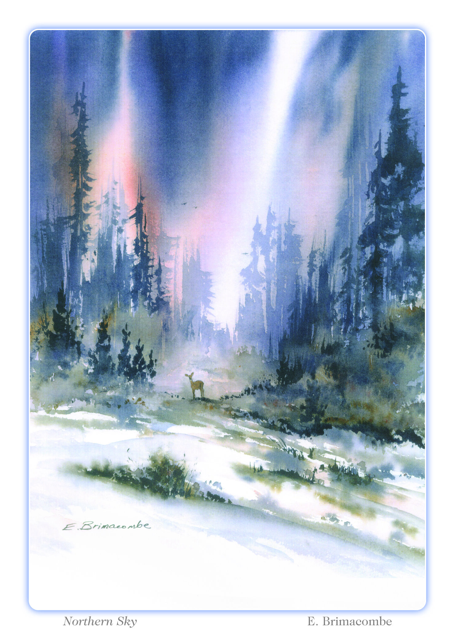 Northern Sky